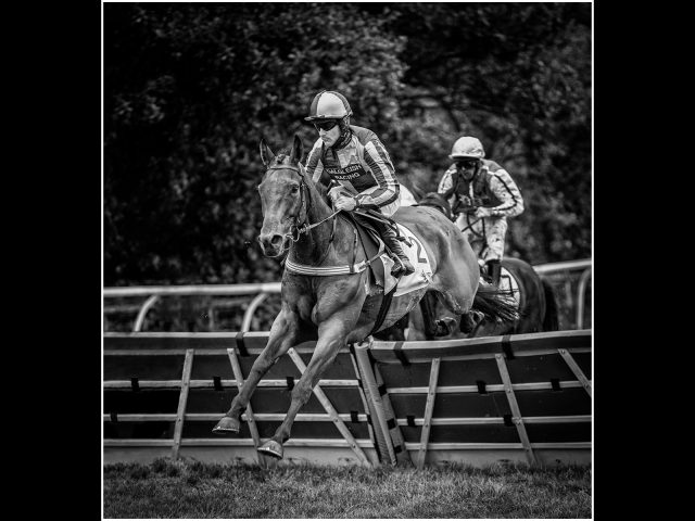Commended_David Robinson_Horse race Cartmel