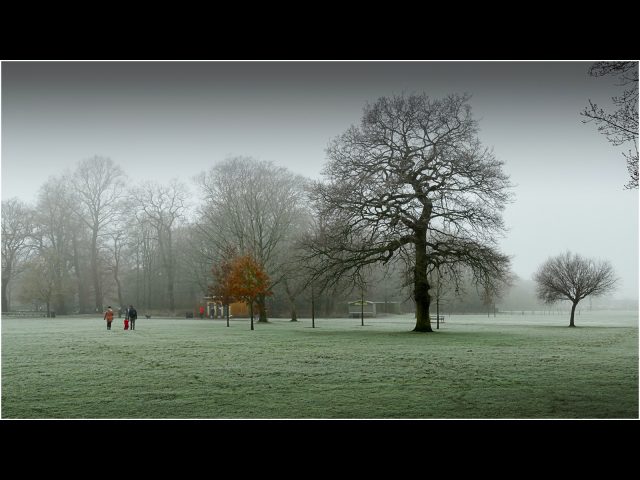 PDI Highly Commended_Gary Poole_Park Walk